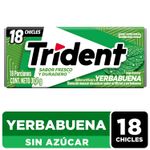 Goma-De-Mascar-Trident-Sabor-Yerbabuena-Vup-30-6g-1-9803