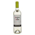 Vino-Casillero-Del-Diablo-Sauvig-Blanco-750ml-2-10752