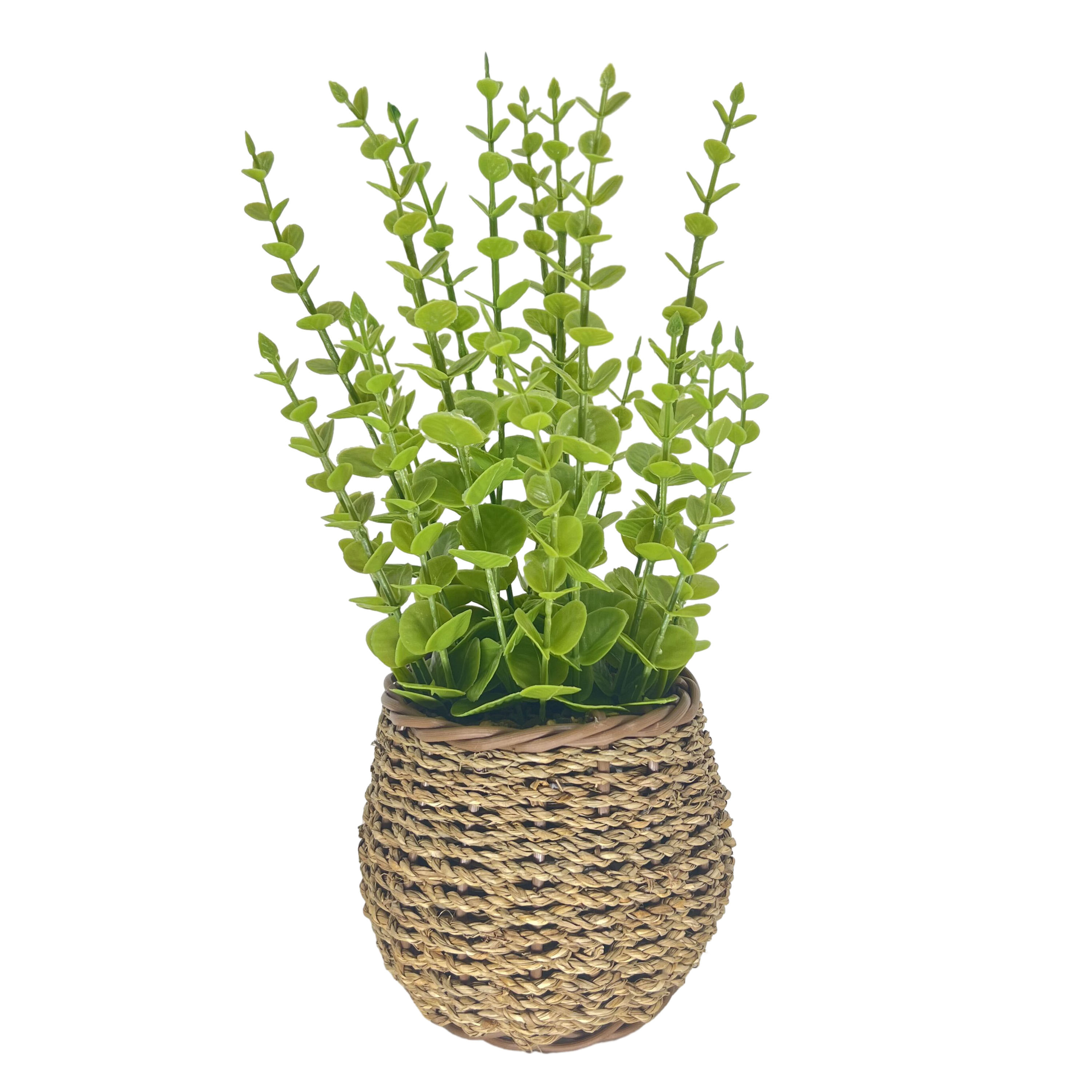 Planta con maceta de mimbre 40 cm natural/verde - RETIF