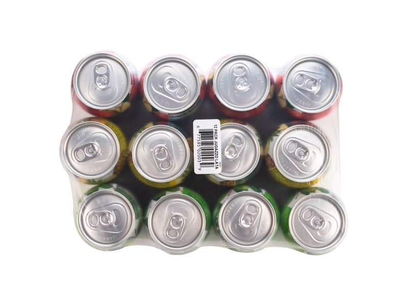 12-Pack-Jugo-Petit-Lata-320ml-4-21339