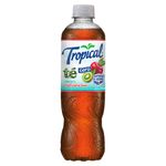 Te-Tropical-Cero-Manzana-Y-Kiwi-500ml-2-3504