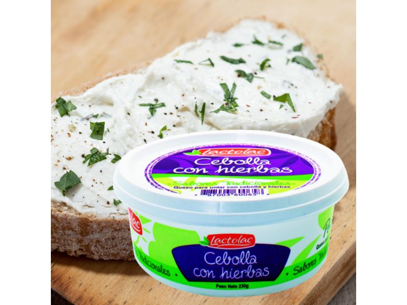 Dip-Lactolac-Cebolla-Y-Finas-Hierbas-230gr-4-3751