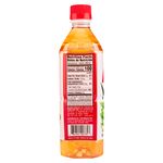 Bebida-Okf-Aloe-Vera-Farmers-Pomegran-500Ml-6-4228