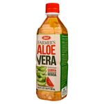 Bebida-Okf-Aloe-Vera-Farmers-Sandia-500Ml-2-4231