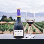 Vino-Tinto-Jp-Chenet-Merlot-4-12915