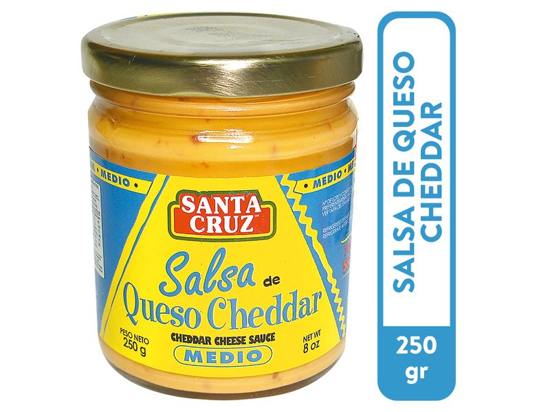 Dip-Santa-Cruz-De-Queso-Medio-Cheedar-250Gr-1-3830