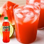 Jugo-Dfrutta-De-Sandia-355ml-4-7029