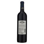 Vino-San-Telmo-Malbec-750ml-2-17227