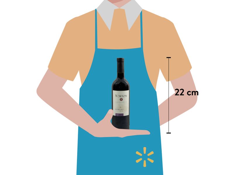 Vino-Tinto-Norton-De-Merlot-750ml-3-10678
