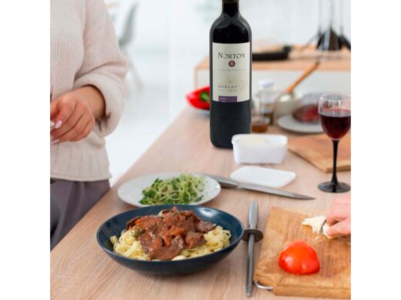 Vino-Tinto-Norton-De-Merlot-750ml-4-10678