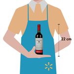 Vino-Norton-Tinto-De-Malbec-750ml-3-10679