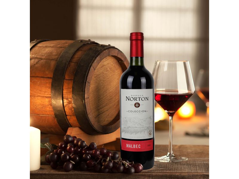 Vino-Norton-Tinto-De-Malbec-750ml-4-10679