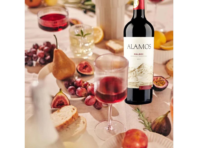 Vino-Tinto-Alamos-Malbec-750ml-4-25787