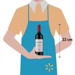 Vino-Cuesta-De-Madero-Tinto-Carbernt-750ml-3-23248