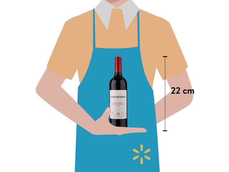 Vino-Cuesta-De-Madero-Tinto-Carbernt-750ml-3-23248
