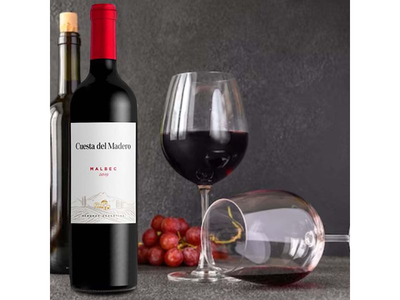Vino-Cuesta-De-Madero-Tinto-Malbec-750ml-4-23249