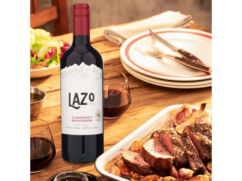 Vino-Lazo-Tinto-Chileno-Cabernet-Sauvignon-750ml-4-10734