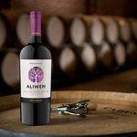 Vino-Aliwen-Undurraga-Cabernet-750ml-4-10738