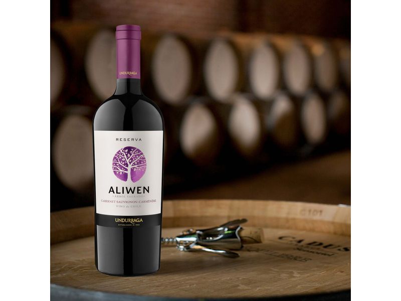 Vino-Aliwen-Undurraga-Cabernet-750ml-4-10738