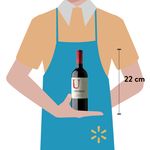 Vino-Tinto-Undurraga-U-Carmener-750ml-3-10750