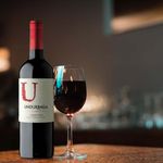 Vino-Tinto-Undurraga-U-Carmener-750ml-4-10750