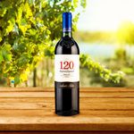 Vino-Tinto-Santa-Rita-120Merlot-Reserva-750ml-4-25798