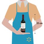 Vino-Tinto-Vista-a-Santa-Carolina-Regular-750ml-3-10763