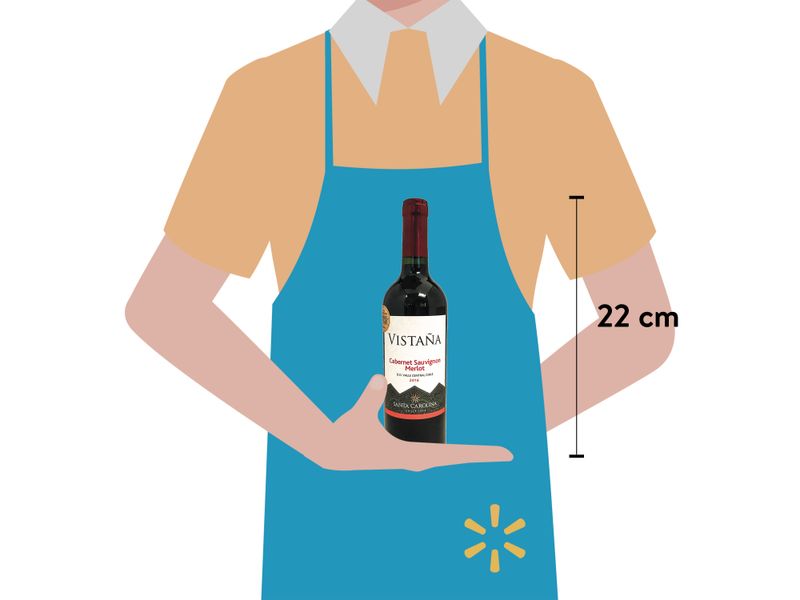 Vino-Tinto-Vista-a-Santa-Carolina-Regular-750ml-3-10763