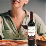 Vino-Tinto-Vista-a-Santa-Carolina-Regular-750ml-4-10763