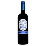 Vino-Tinto-Rio-Andino-Merlot-750ml-2-10782