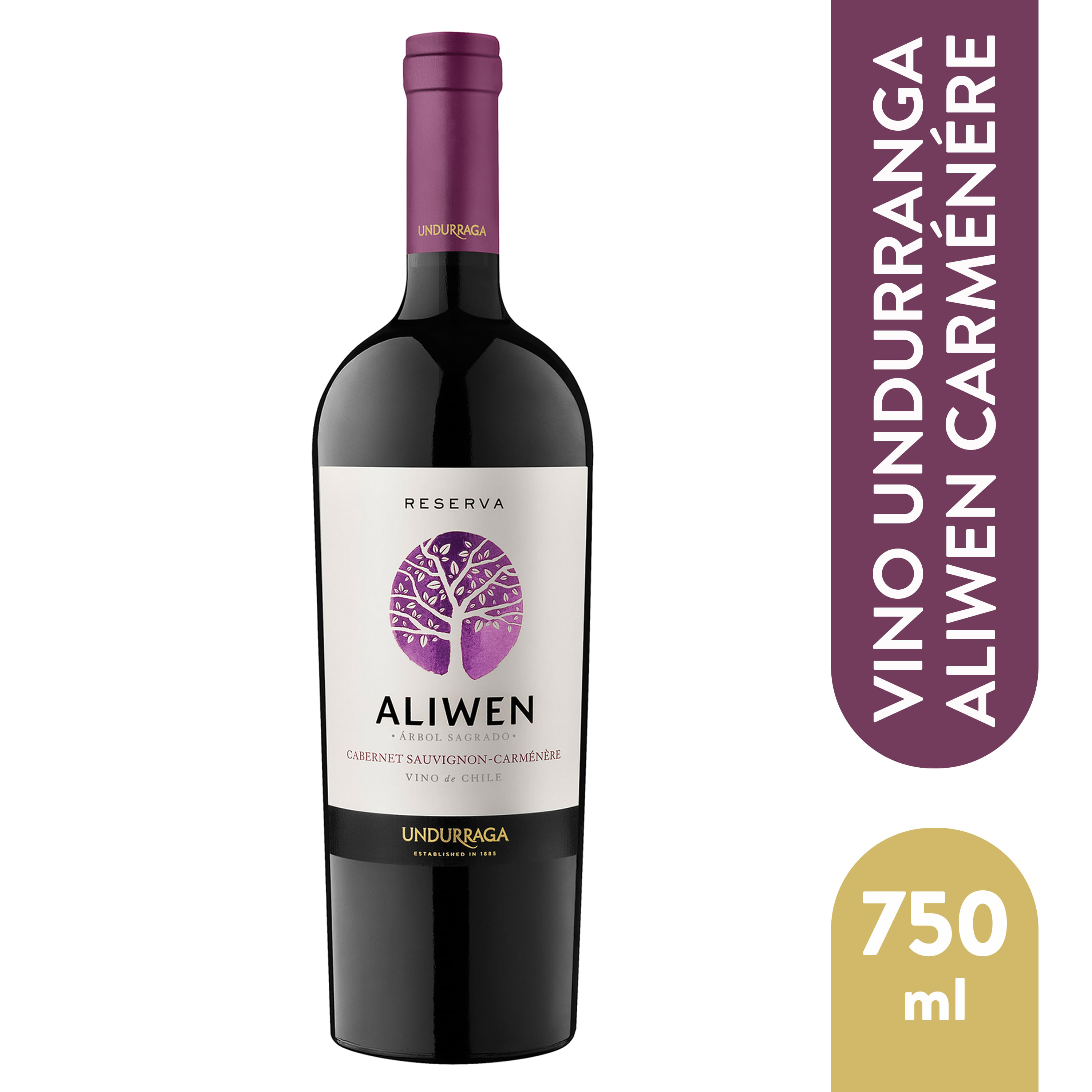 Vino-Aliwen-Undurraga-Cabernet-750ml-1-10738