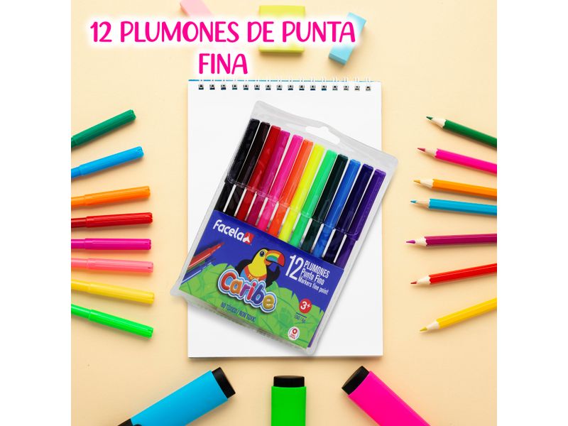 Plumones-Facela-5-15991