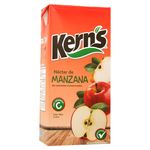 Nectar-Kerns-Manzana-1lt-2-2007