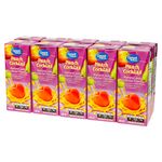 10-Pack-De-Jugo-Great-Value-De-Melocoton-2000ml-2-2688