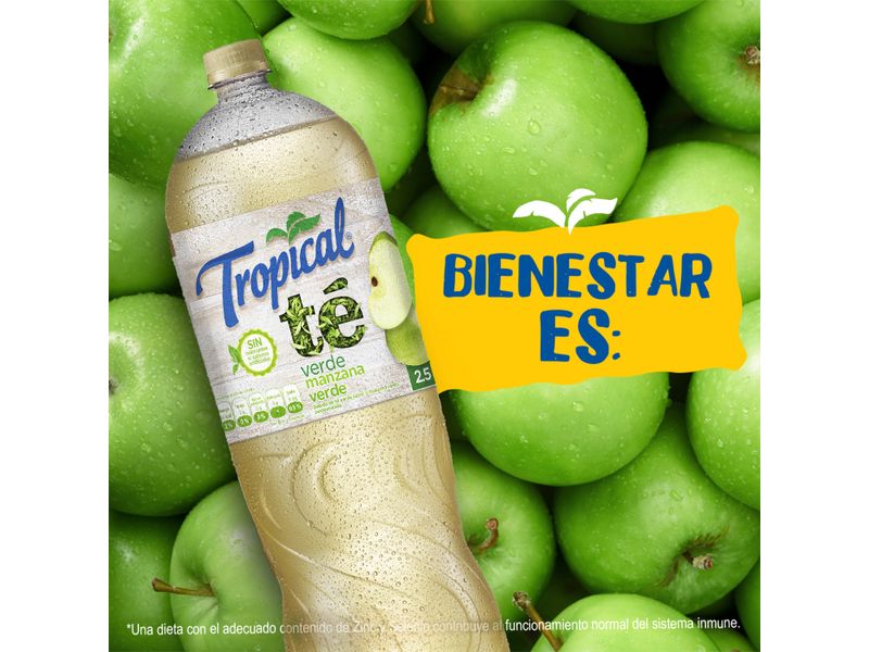 Refresco-Tropical-Te-Verde-Manzana-Petit-2500ml-4-3489