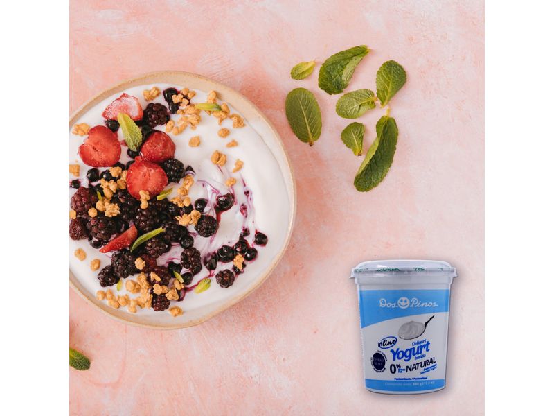 Yogurt-Dos-Pinos-Deligurt-In-Line-Natural-500-gr-6-7496