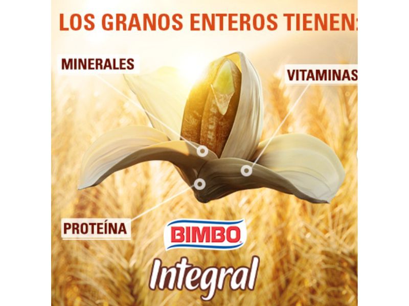 Pan-Bimbo-Sandwich-Integral-Fibra-Grano-Entero-530gr-4-7928