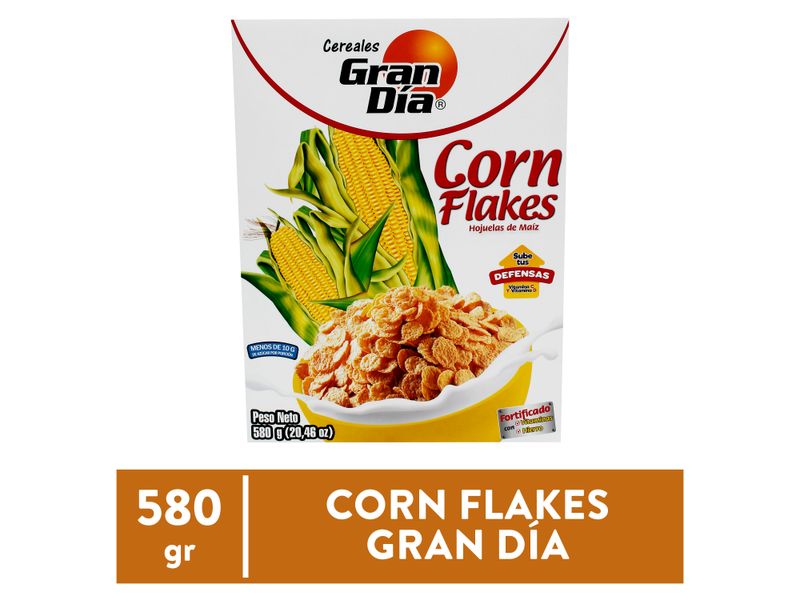 Cereal-Gran-Dia-Hojuela-580gr-1-18892