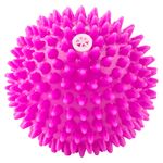 Pelota-Para-Masc-Mascopets-1Ea-2-18818