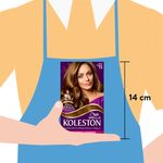 Tinte-Koleston-Well-Tono-Rubio-Avellana-55gr-3-16673