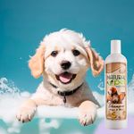 Shampo-Natural-Pet-Avena-Y-Miel-500-ml-4-18905