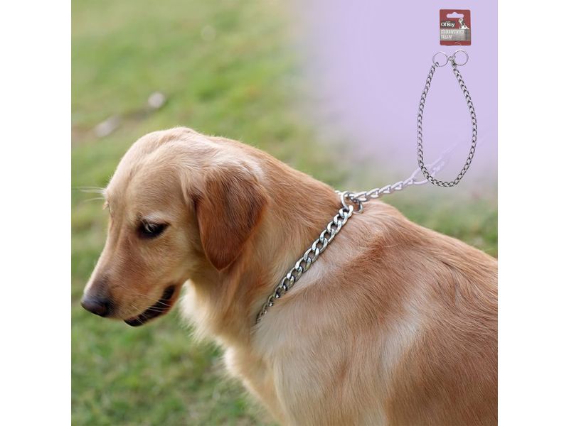 Collar-Ol-Roy-Metalico-Para-Perro-Talla-M-4-20234