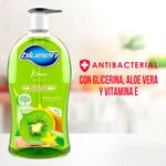 Jab-n-Blumen-Liquido-Kiwi-Botella-525ml-4-9778