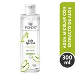 Agua-Micel-Frui-Hyd-Fre-Aloe-300ml-1-25761