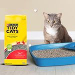 Arena-Gato-Tidy-Cats-24-7-Conventional-4-5kg-3-27867