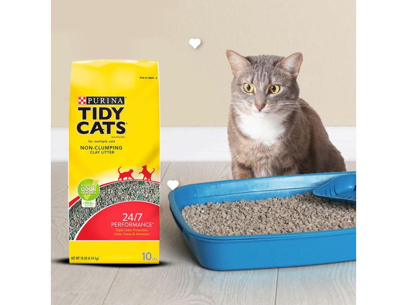 Arena-Gato-Tidy-Cats-24-7-Conventional-4-5kg-3-27867