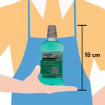 Enjuague-Bucal-Equate-Spring-Mint-500ml-4-2645