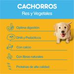 Alimento-Seco-para-Perro-Pedigree-Cachorro-4kg-4-571