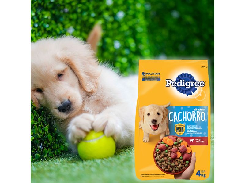 Alimento-Seco-para-Perro-Pedigree-Cachorro-4kg-10-571