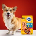 Alimento-Seco-para-Perro-Pedigree-Adulto-4kg-11-12846